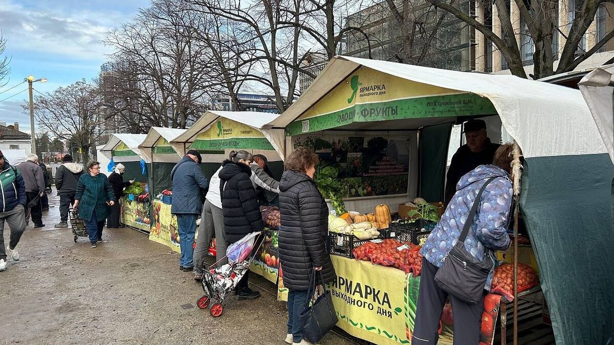 В Краснодаре на новом месте открылась ярмарка выходного дня | Краснодар.  Новости | Дзен