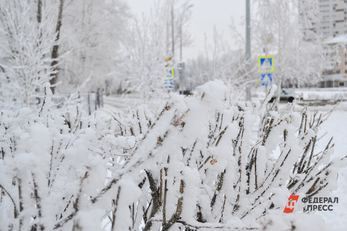 Осадки прогнозируются днем 22 января.  Фото: Фото: ФедералПресс / Елена Аталыкова