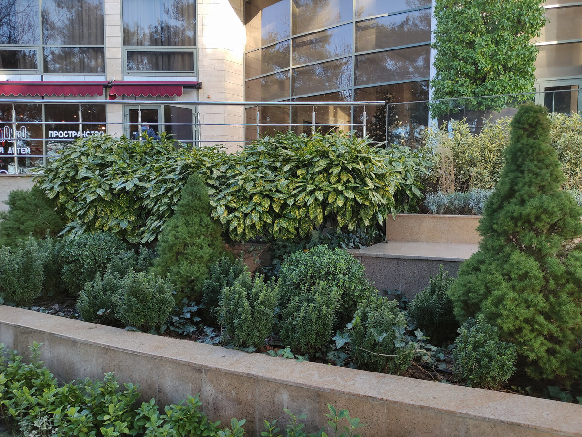 Фото для настроения