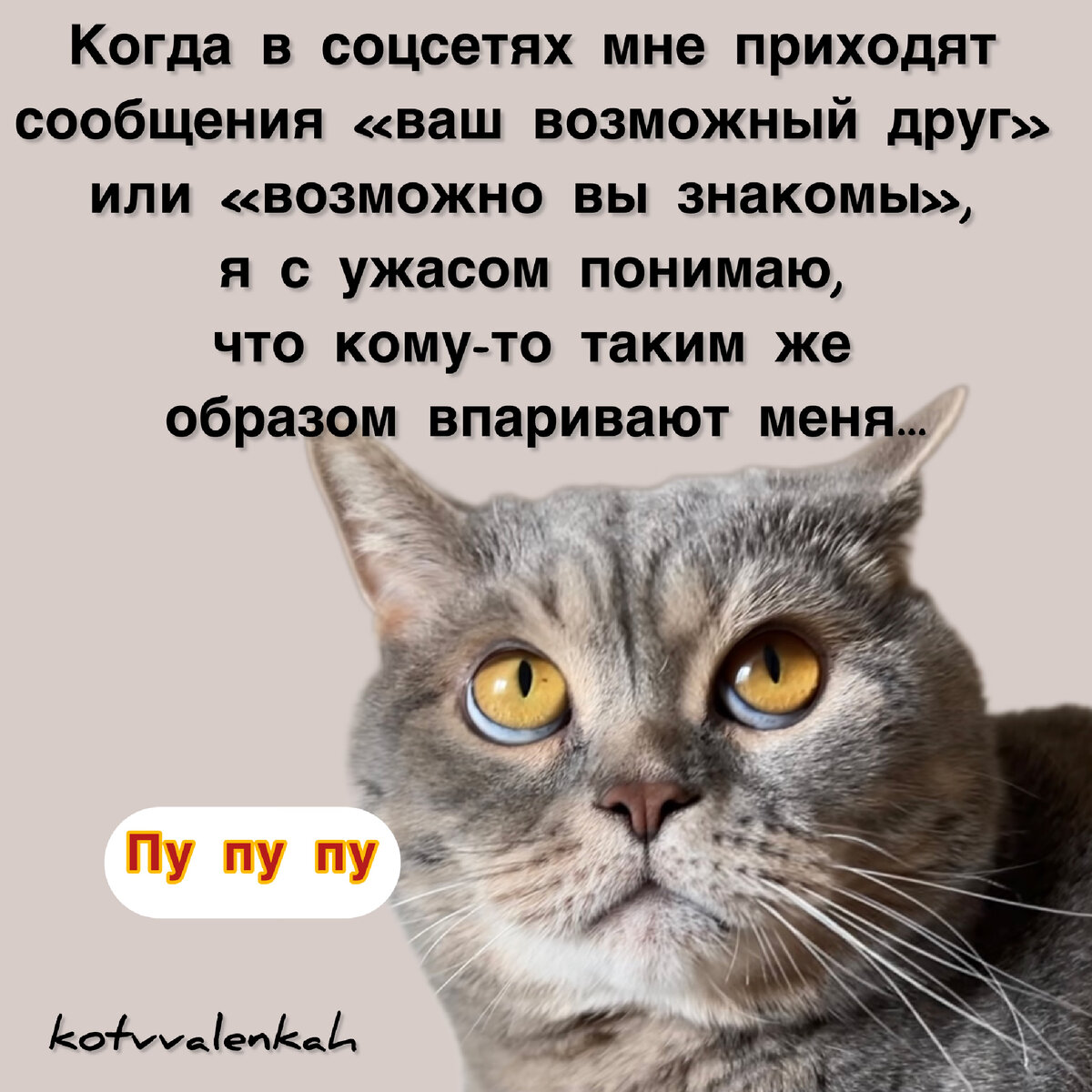 Ну иди пожалуйста. Поставьте 5 мем. Пожалуйста мем. Ну иди пожалуйста. Ну иди пожалуйста.