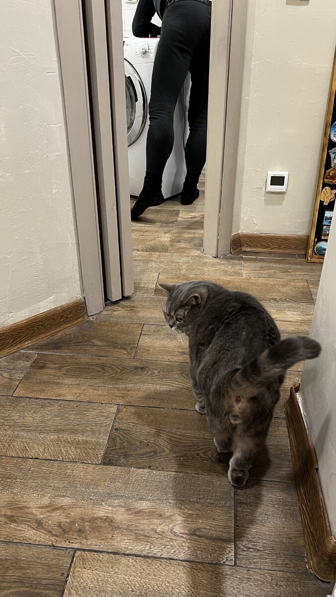 Что идет после субботы. Воскресенье или воскресение. Что идет после субботы. Суббота название. Почему дни недели так называются.