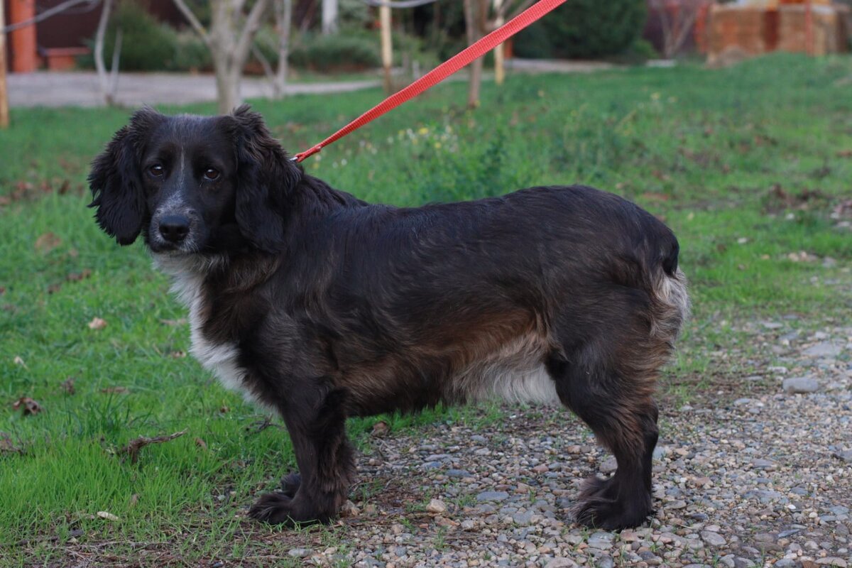 Когда ты в отпуске звонки с работы. Котенок с подписью. Когда в отпуске картинки. Девушка вспоминает. Отболело.