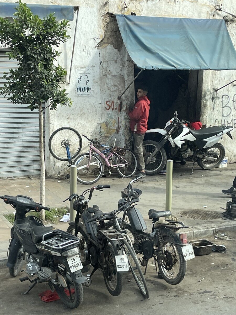 новогоднее шоу. будет ли маска 31 декабря 2023. новогодний аватар. филипп киркоров маска 2022. будет ли маска 31 декабря 2023.