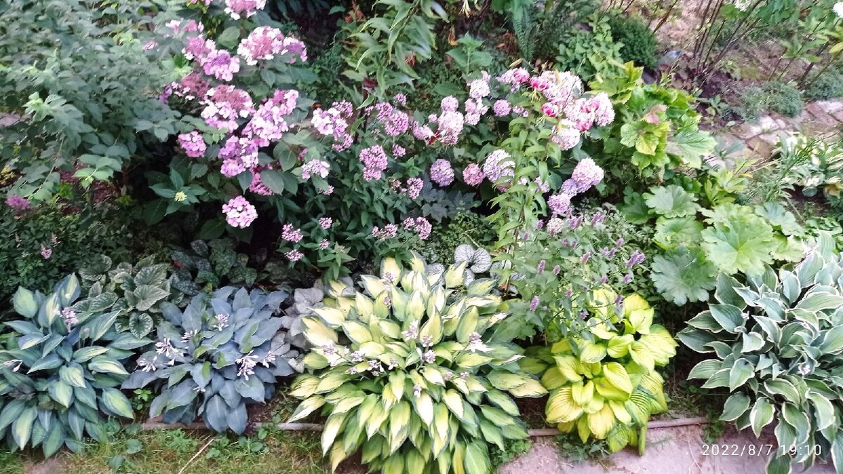 август из окна