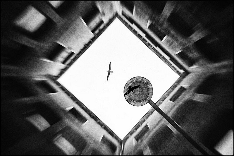 фото Андо Фукс