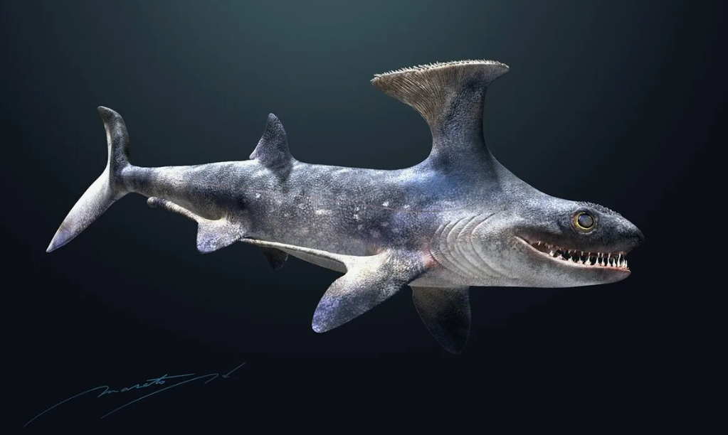 Древняя акула СТЕТАКАНТ