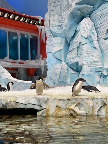   Фото: Амур.инфо