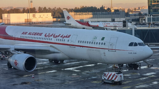 Airbus A330-200 а/к Air Algerie | Рейс Алжир — Йоханнесбург