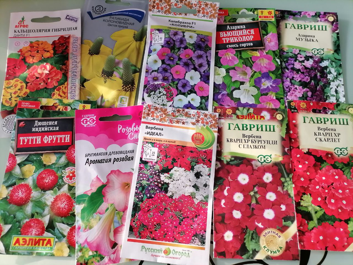 Семена цветов, которые докупила