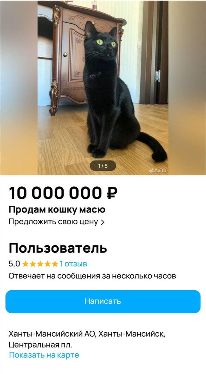 Кот за миллиард и 