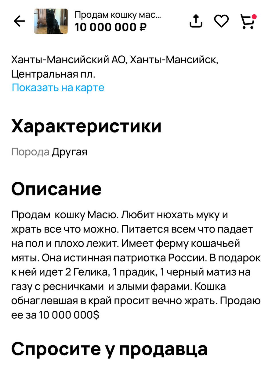 не проходи мимо помоги. той что не прошла мимо 2. пройти мимо возможности. той что не прошла мимо 2. пройду мимо.