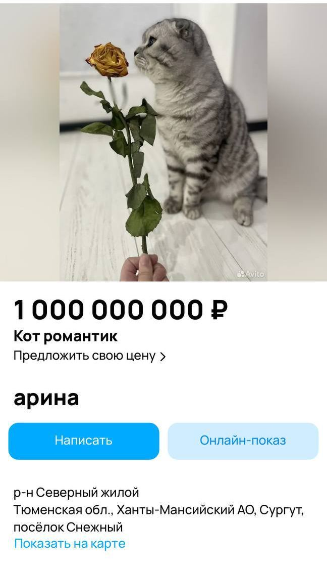 цитаты от которых хочется улыбаться. улыбнись и проходи мимо. улыбнись и заходи. позитивные лозунги для хорошего настроения. улыбайся не грусти.