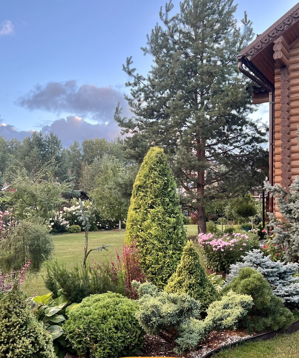 однокоренные слова. суффиксы. сова однокоренные слова. профессии с суффиксом ист. одна и две буквы в суффиксах прилагательных.