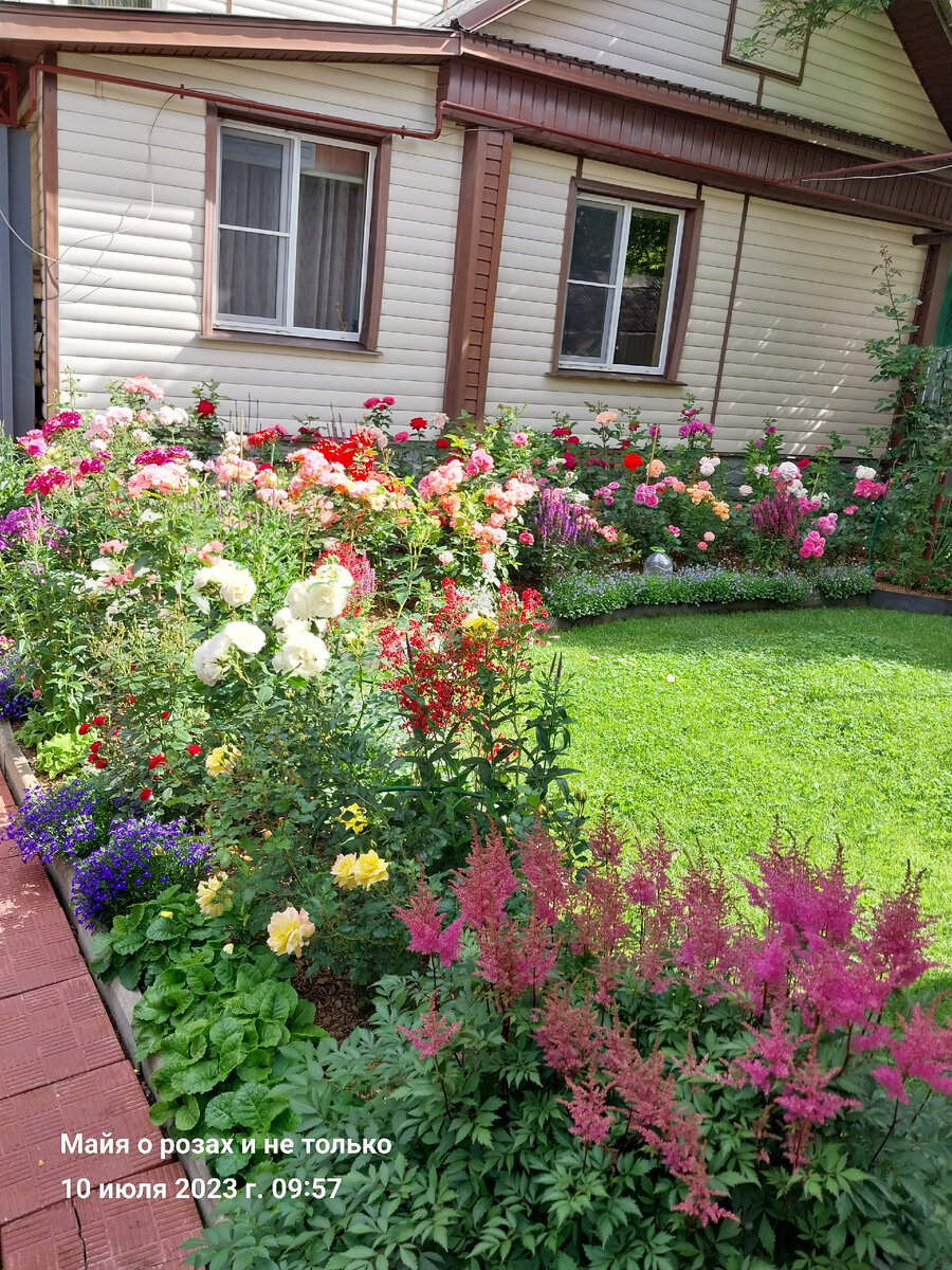 гармония и счастье. жизнь на грешной земле фильм 1973. на земле этой грешной живем. летать на крыльях счастья. булат окуджава грузинская песня виноградную косточку.