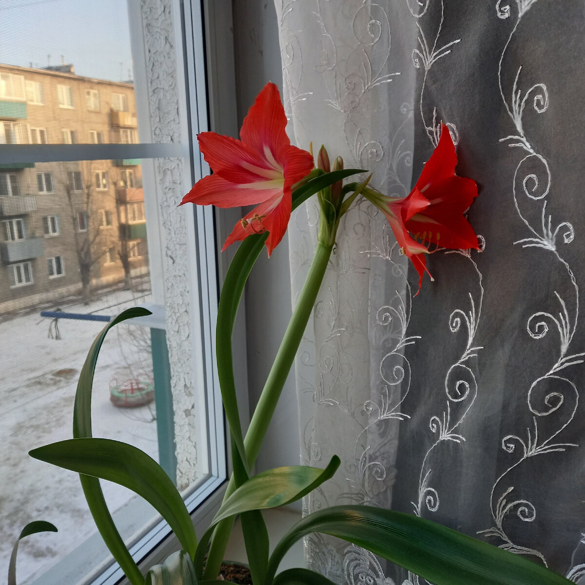 -2
