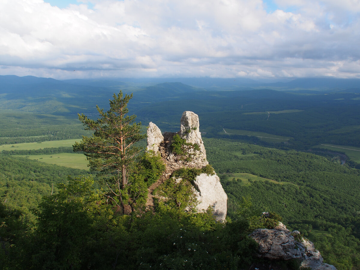 Целых два пальца, по-моему. 