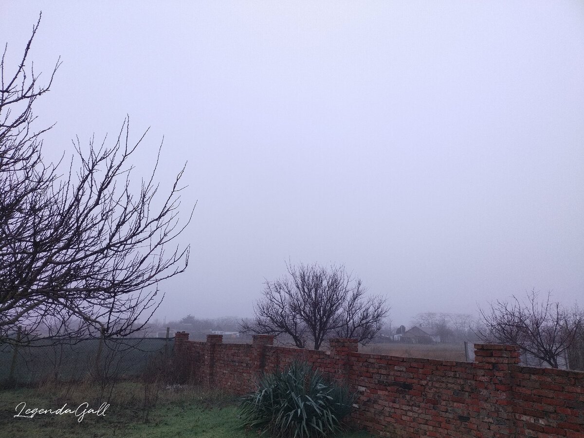 Утренний туман