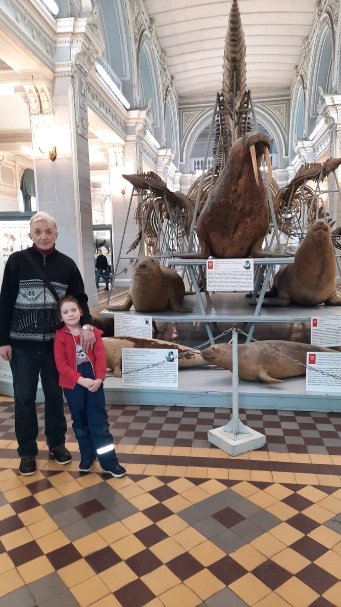 В Зоологическом музее