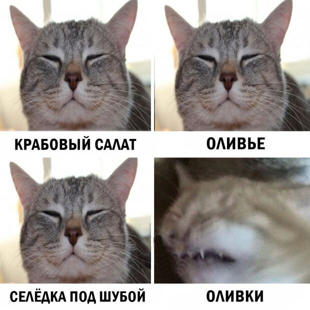 Рекомендации для эффективного общения. Культура общения. Что нельзя публиковать в социальных сетях. Абсолютное большинство людей общается в социальных. Этические нормы поведения в сети.