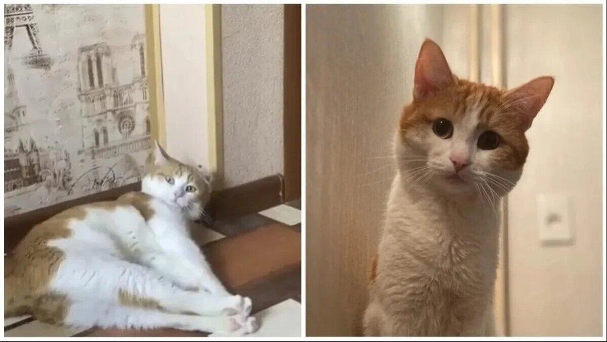 Установка виндовс 7 скрины. Центр обновления windpws10. 68 including. Антивирус для windows. Установка ос windows.