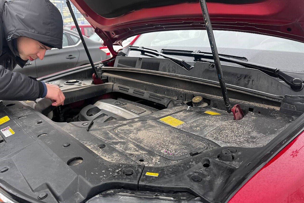 почем меняют. почем меняют. почем в одессе рубероид. рубероид приколы. испспорченный телефон.