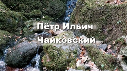 Пётр Ильич Чайковский. Вальс-скерцо для фортепиано, оп.7 Музыка для души