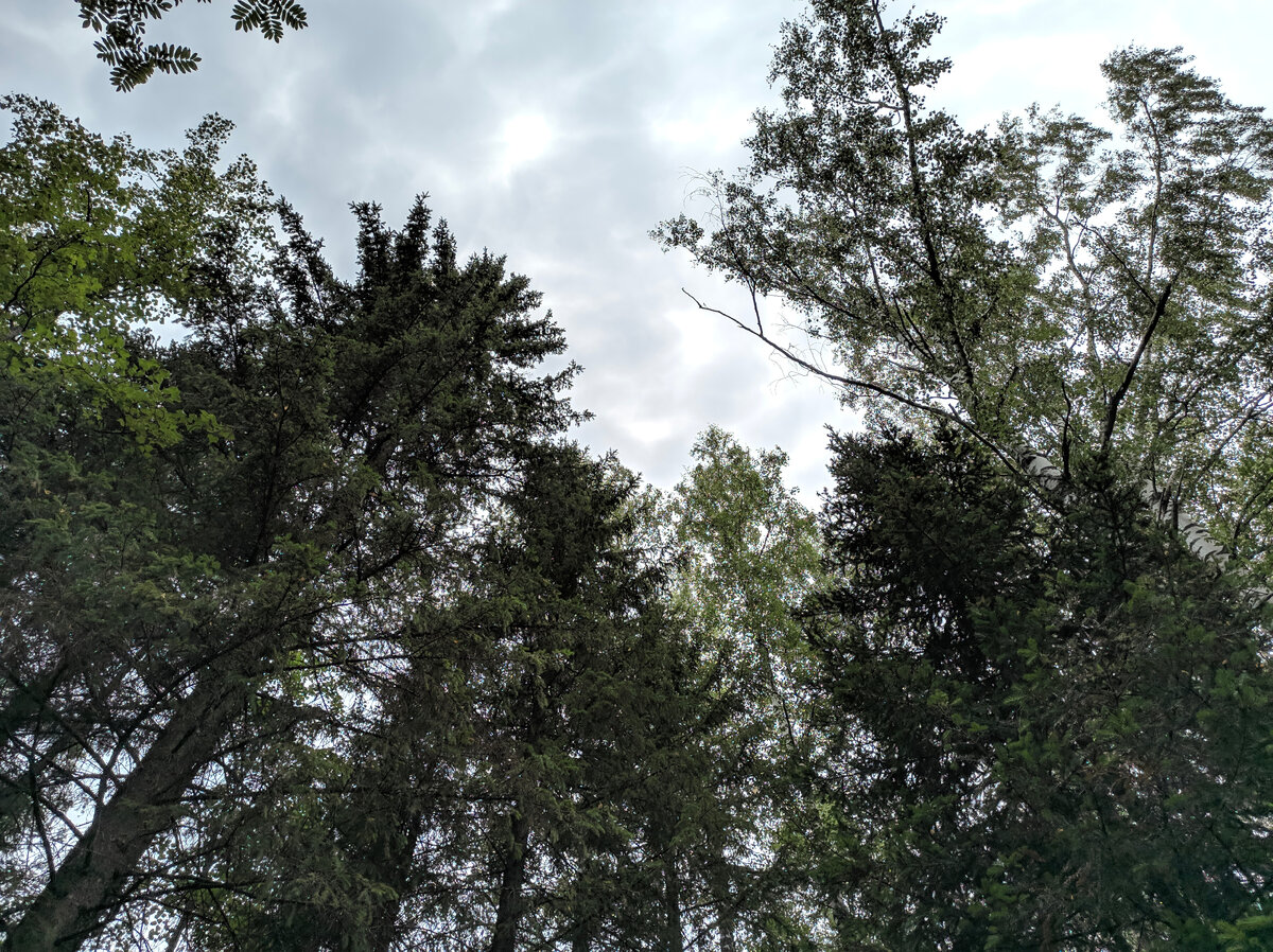 Выходные дни в 2021 году. Праздничные дни в ноябре 2020. Если день отпуска выпадает на праздничный день. Когда выгодно брать отпуск в 2021 году. Дни отпуска в мае 2021.