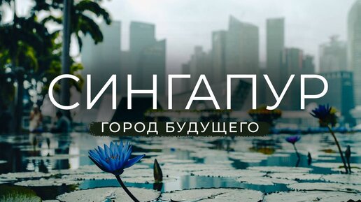 СИНГАПУР ― ГОРОД БУДУЩЕГО? Символы Сингапура, достопримечательности и портовая жизнь города|Часть 1