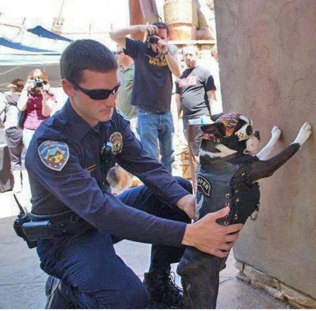 Источник: Yandex/images