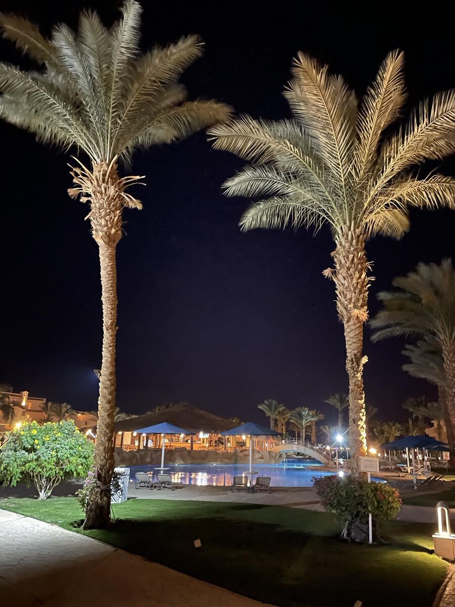 Cleopatra luxury resort makadi bay (ex. Palm beach resort хургада. отель египет вайт white hills resort 5. палм бич египет. Meraki resort sharm el sheikh 5.