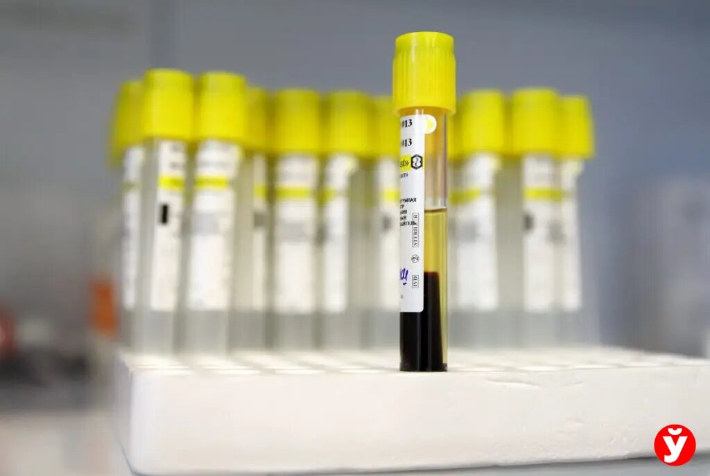 Комплексное лечение алкоголизма. Вытрезвитель логотип. Как сдать алкоголика на принудительное лечение. Особенности личности алкоголика. Принудительное лечение от алкоголизма ростов.