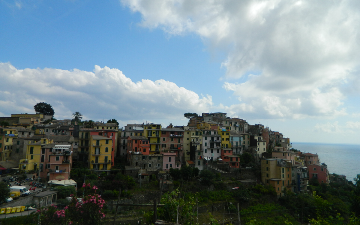 Тер р мо. Территориальная схема. Карта земельных участков с кадастровыми номерами. Тер р мо. Днт южное хутор красный.