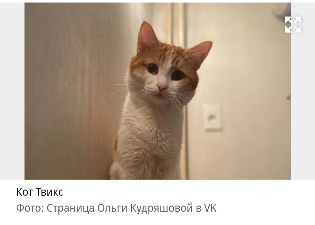 Любовь к любимому человеку. Судьба очень многих людей. Картинки ободрения для женщин. Судьба очень многих людей. Уходящее прошлое.