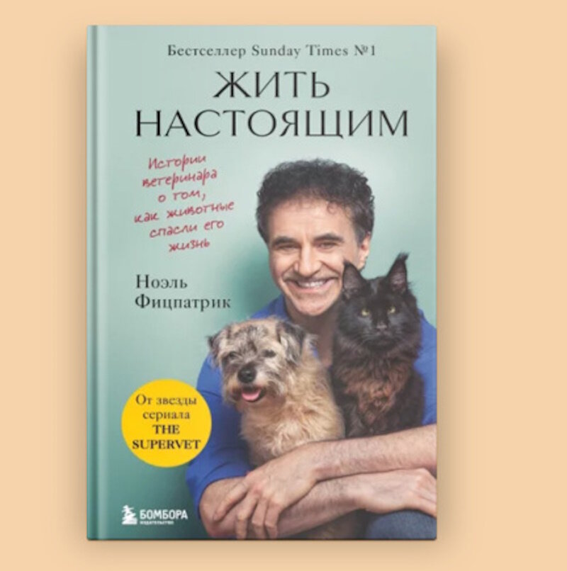 ветеринар на английском языке. ветеринар перевод на английский. ветеринар перевод на английский. профессия ветеринар для детей. проект по английскому языку профессия ветеринар.