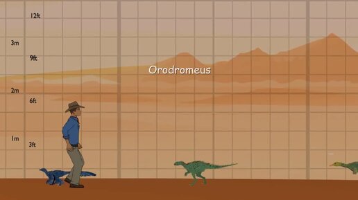 Размеры некоторых динозавров мелового периода. Приятного просмотра!