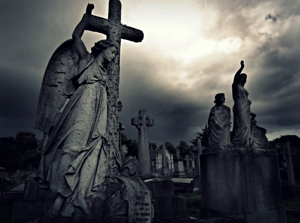 ФОТО ИЗ ИНТЕРНЕТА.