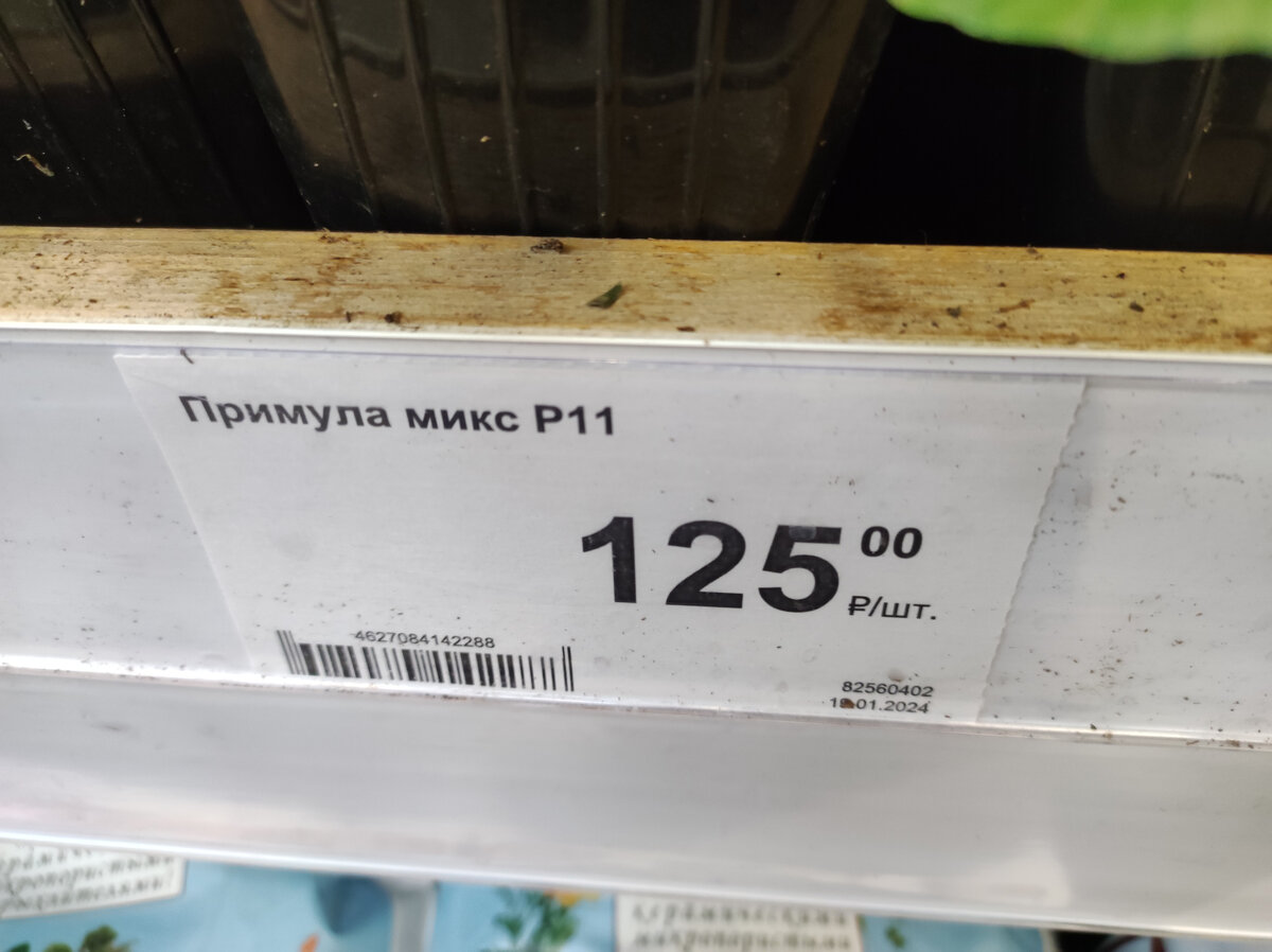 и даже не дорого