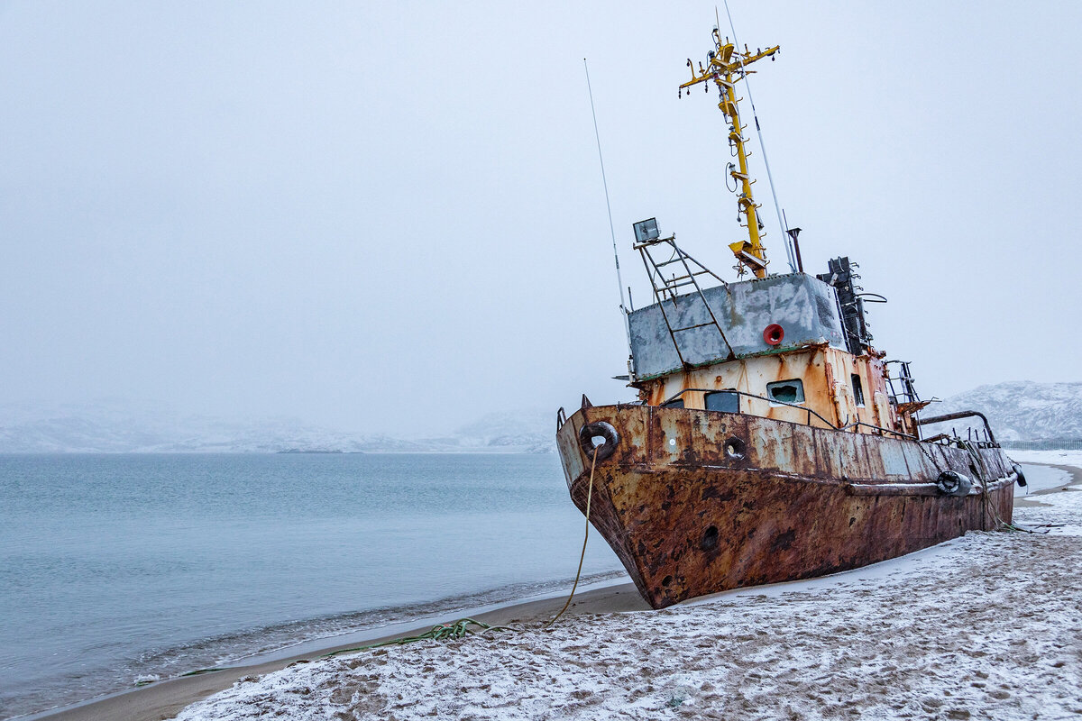 Какое море омывает Мурманск и как выглядит отдых на побережье в Запольяре?  | Яндекс Путешествия | Дзен