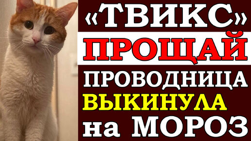 михалков мороз и морозец. николай лакутин "дура". мороз и морозец сказка. мороз рассказ дзен. рассказ о морозе.