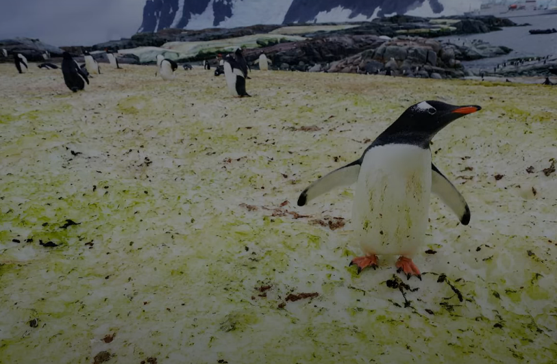 горская знать правду не страшно. злые люди цитаты. горская знать правду не страшно. горская знать правду не страшно. горская знать правду не страшно.