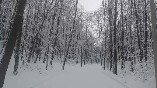 ОЧАРОВАНИЕ ЗИМНЕГО ПЕЙЗАЖА НА КРЕЩЕНИЕ.