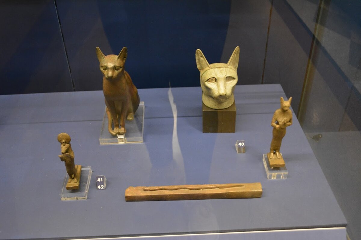 Пушкинский музей волхонка 12. Музей изобразительного искусства имени пушкина в москве. Государственный музей изобразительных искусств имени а с пушкина. Музей изобразительных. Государственный музей изобразительных искусств имени а с пушкина.