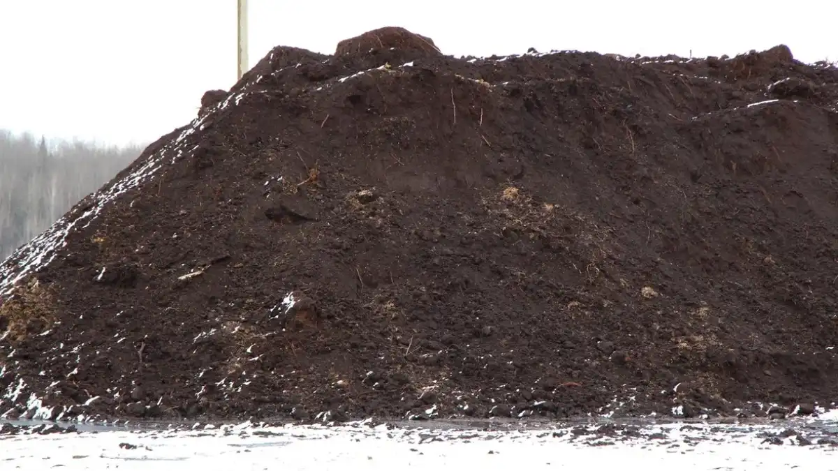 Фото:Владимир Исаенко / Glavagronom.ru