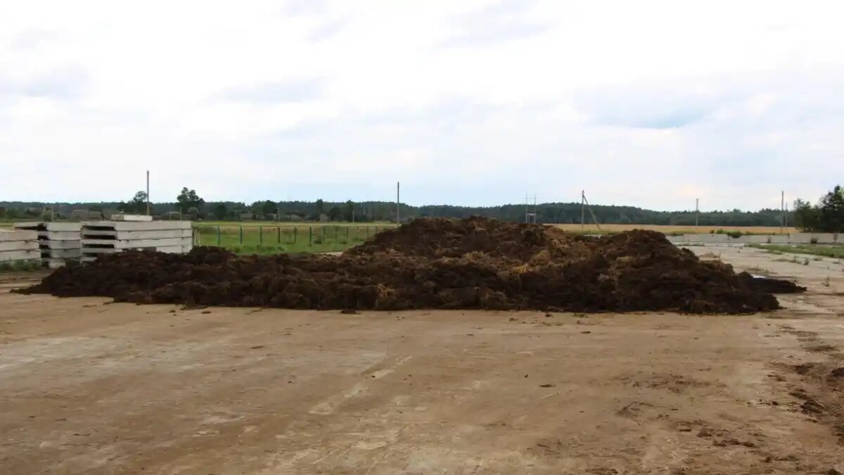 Фото:Владимир Исаенко / Glavagronom.ru