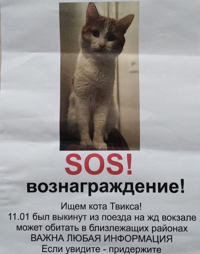 Открытый источник.