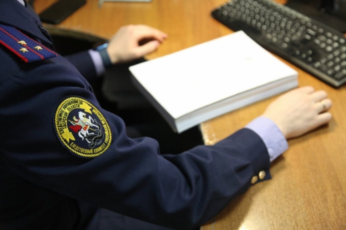    По факту нападения собаки на школьницу в Нелидово возбудят уголовное дело