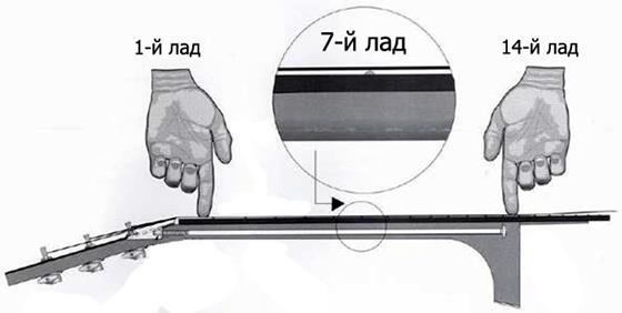 Рис. 1. На акустиках правильнее зажимать струну не на последнем ладу, а на 12-14, после которого накладка ложится на верхнюю деку. На большинстве электрогитар - так/, как описано выше. Рисунок взят из интернета. 