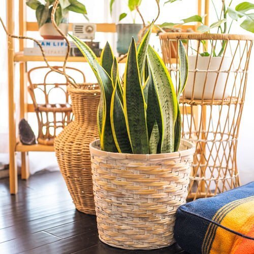 фото из открытого источника