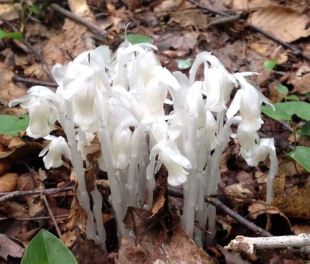 фото из открытого источника