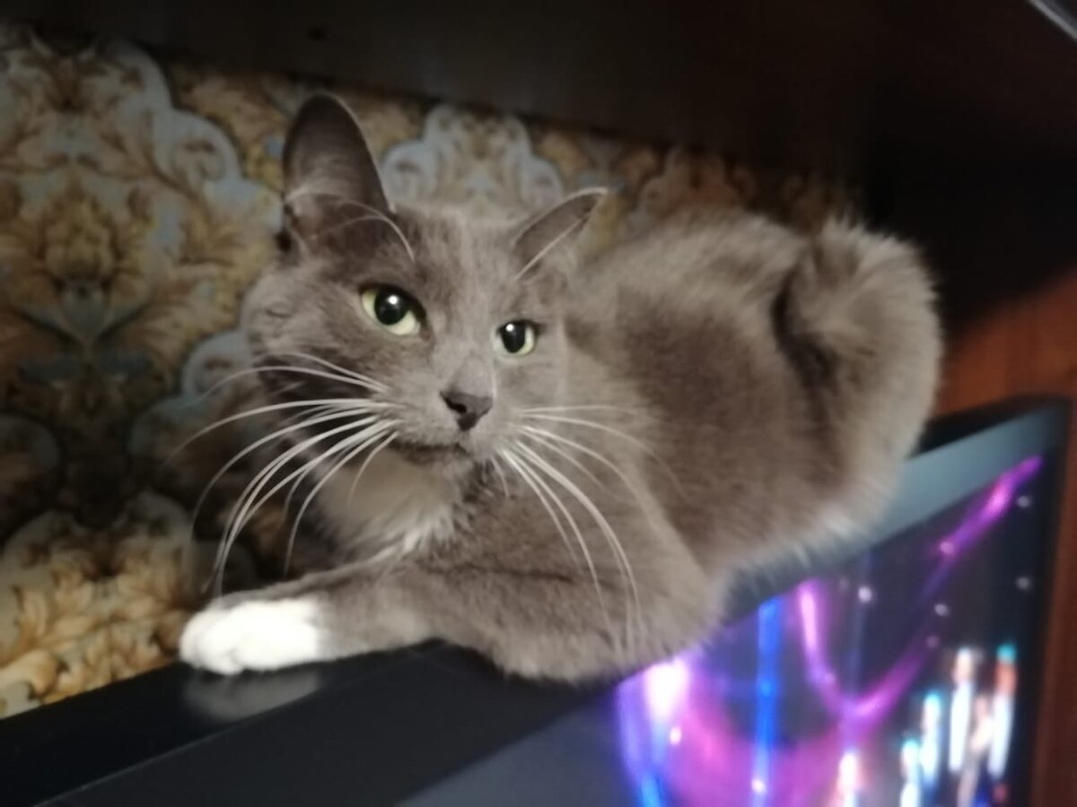 На телевизоре тоже удобно